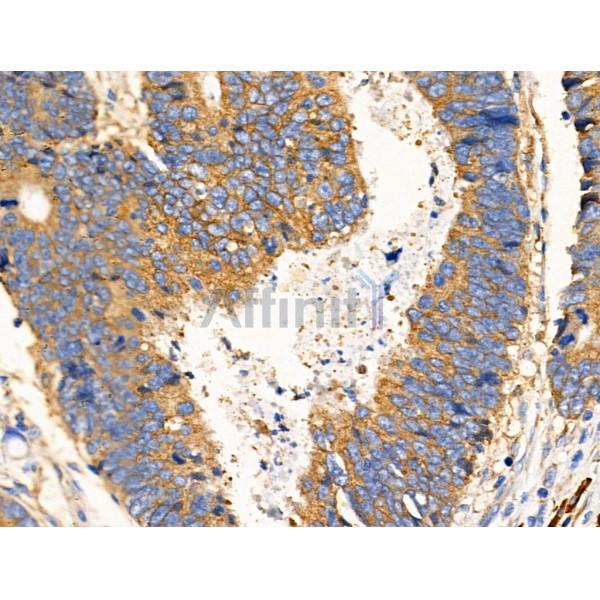 Валидация Affinity DF3872 - 15025