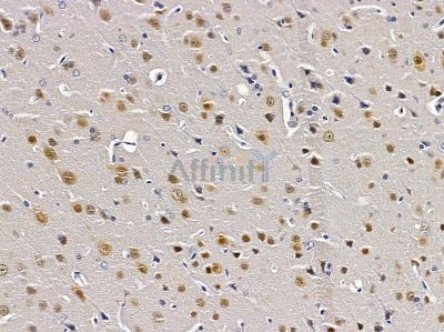 Валидация Affinity DF9232 - 21647