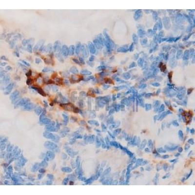 Валидация Affinity AF7793 - 4508