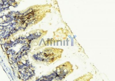 Валидация Affinity DF6579 - 18016