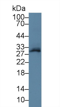 9835