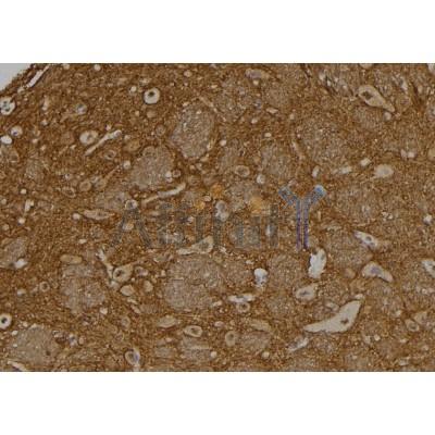 Валидация Affinity DF2259 - 12808