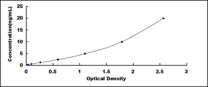 65124
