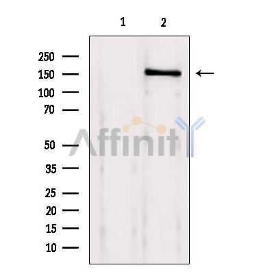 Валидация Affinity DF2905 - 13635
