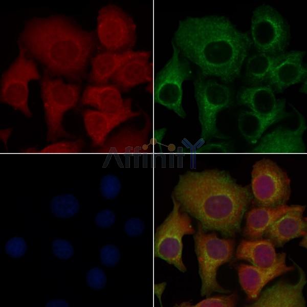 Валидация Affinity DF6330 - 17659