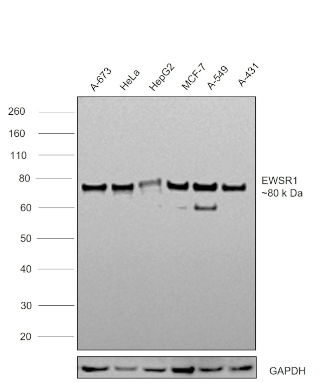 Валидация AssayVector ARM1306(815)