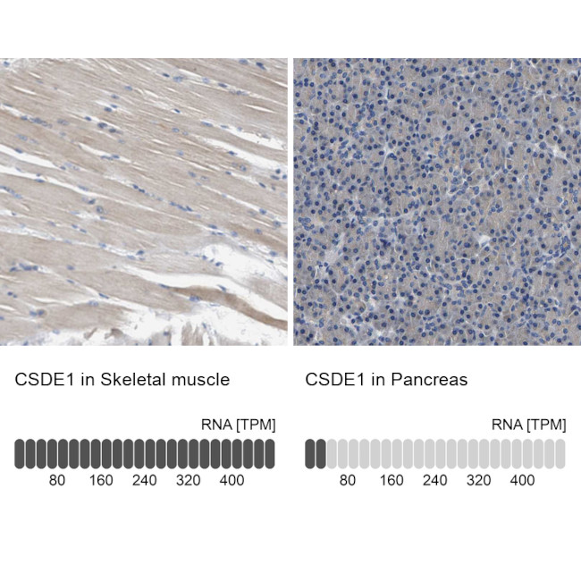 Валидация AssayVector ARM2242(3786)