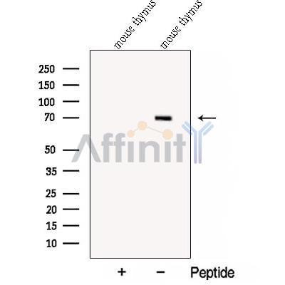 Валидация Affinity DF12906 - 7656