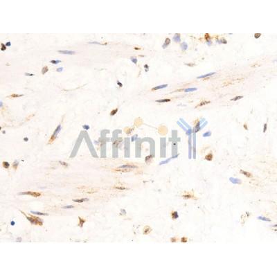 Валидация Affinity DF6443 - 17823