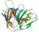Chemokine C-X-C-Motif Ligand 16 (CXCL16) Chemokine C-X-C-Motif Ligand 16 (CXCL16)