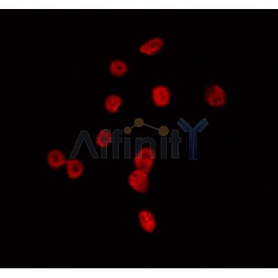 Валидация Affinity DF2402 - 12997