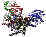 ATPase, Na+/K+ Transporting Beta 3 Polypeptide (ATP1b3)