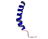 Melanocortin 5 Receptor (MC5R) Melanocortin 5 Receptor (MC5R)