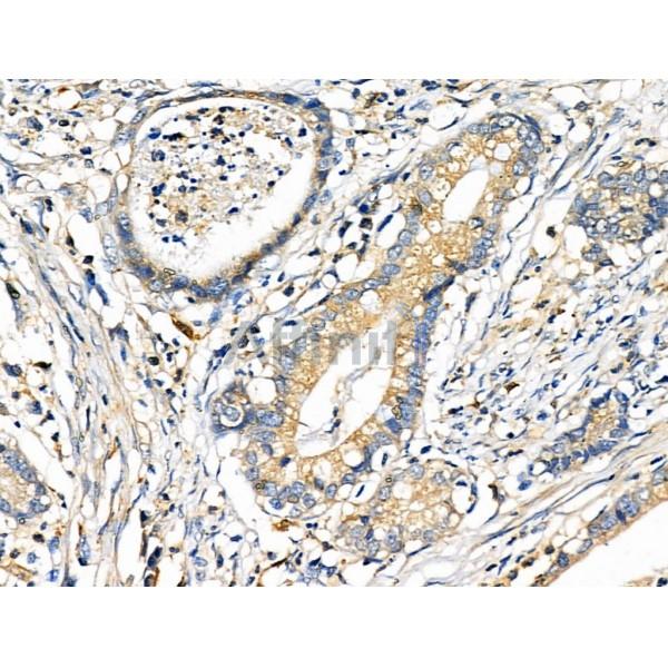 Валидация Affinity DF2298 - 12858