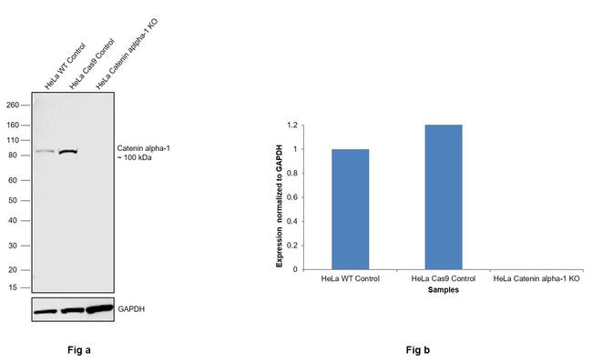 Валидация AssayVector ARM2664(4992)