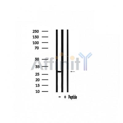 Валидация Affinity DF3684 - 14698