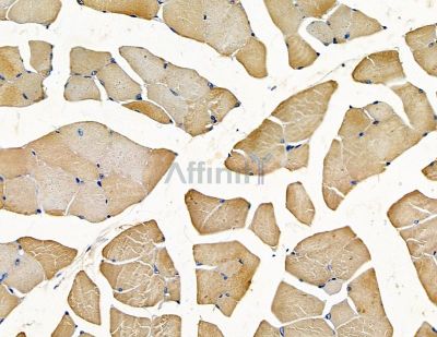 Валидация Affinity DF15953 - 12473