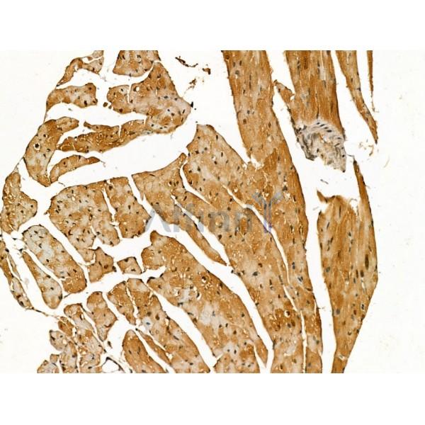 Валидация Affinity DF13272 - 8370