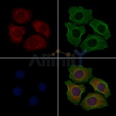 Валидация Affinity AF5195 - 2642