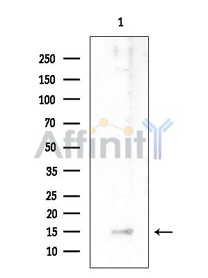 Валидация Affinity DF8964 - 21144