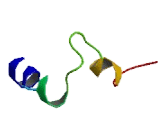 Olfactory Receptor 1A1 (OR1A1) Olfactory Receptor 1A1 (OR1A1)