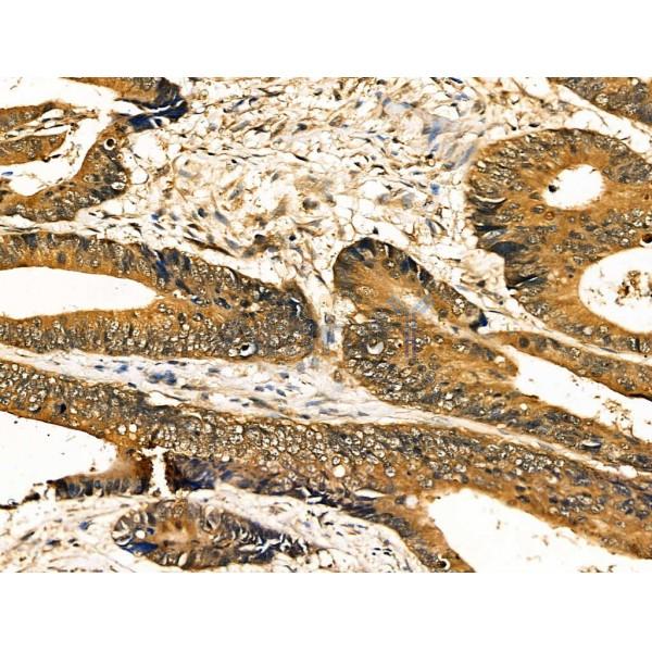 Валидация Affinity AF5267 - 2784