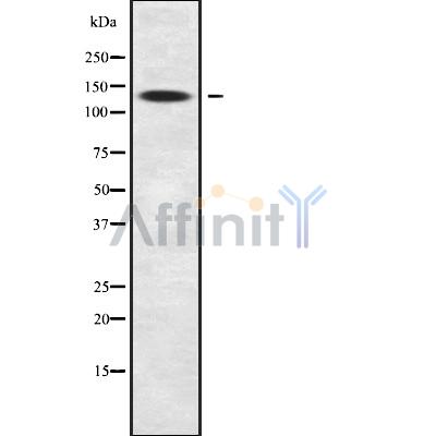 Валидация Affinity DF9935 - 22932