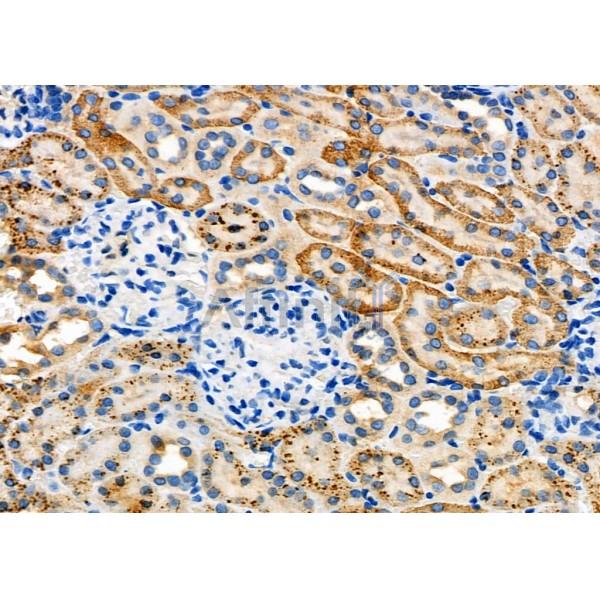 Валидация Affinity DF7696 - 19479