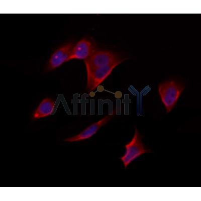 Валидация Affinity DF12468 - 7017