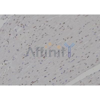 Валидация Affinity DF6976 - 18603