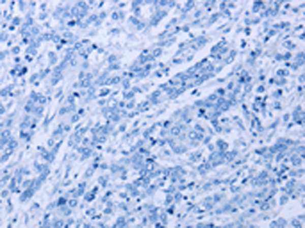 Валидация AssayVector ARM1047(131)