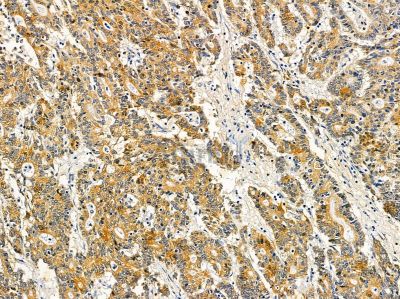 Валидация Affinity DF14519 - 10503