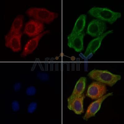 Валидация Affinity DF9914 - 22891