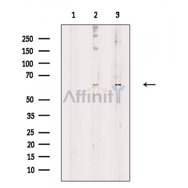 Валидация Affinity DF3992 - 15227