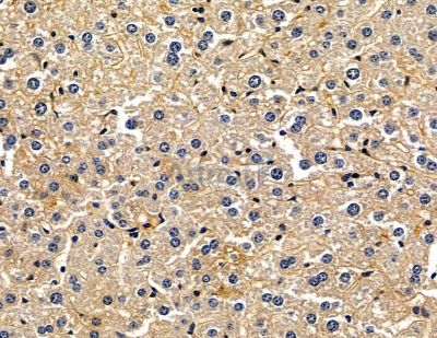 Валидация Affinity DF15816 - 12309