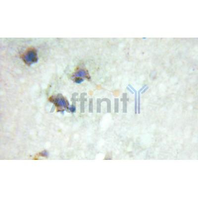 Валидация Affinity AF6155 - 3369