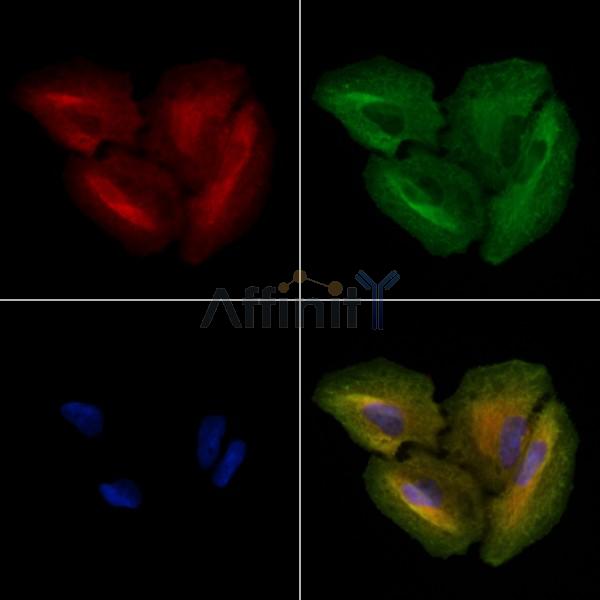 Валидация Affinity DF8689 - 20669