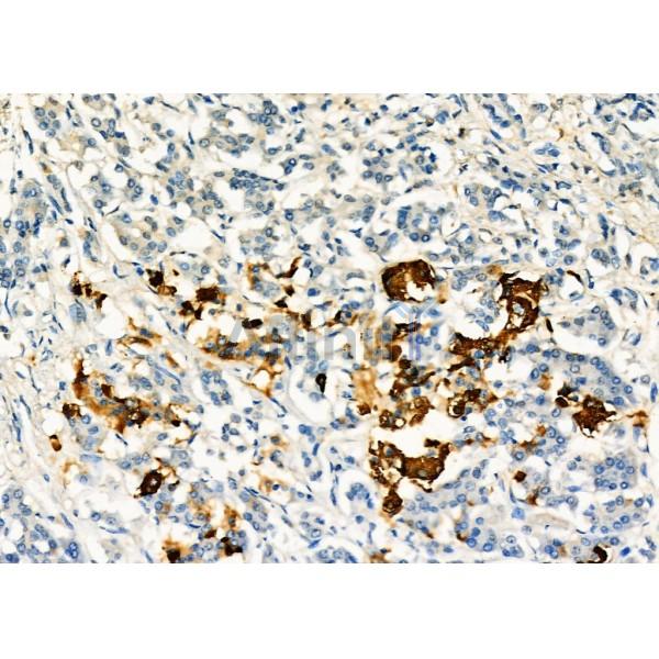 Валидация Affinity DF6731 - 18263