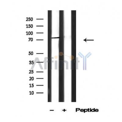 Валидация Affinity AF4805 - 2424