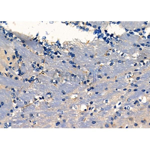 Валидация Affinity DF7988 - 19813