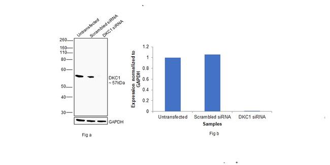 Валидация AssayVector ARM1604(1679)