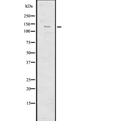 Валидация Affinity DF7698 - 19482