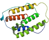 Interferon Alpha 2 (IFNa2) Interferon Alpha 2 (IFNa2)