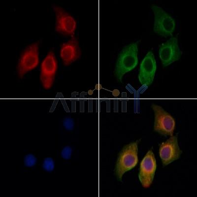 Валидация Affinity DF7730 - 19524