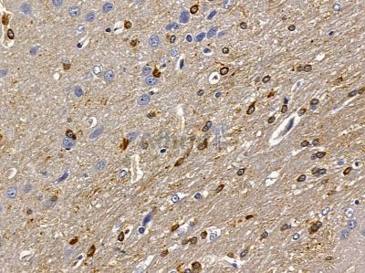 Валидация Affinity DF9677 - 22443