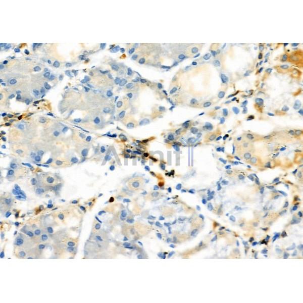 Валидация Affinity DF7449 - 19205