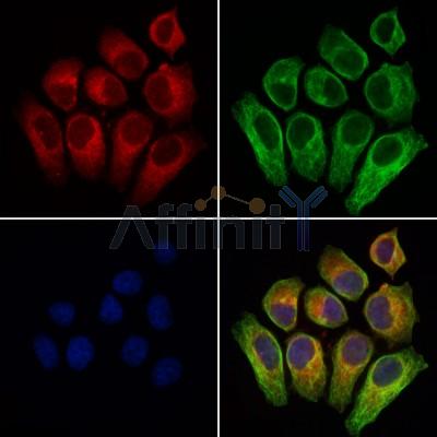 Валидация Affinity DF4921 - 16738