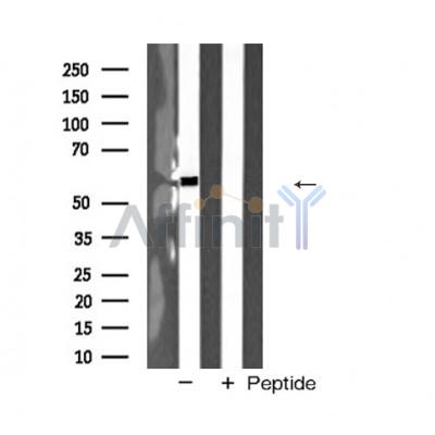 Валидация Affinity AF5389 - 3026