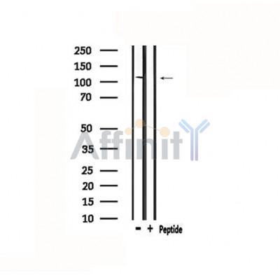 Валидация Affinity DF4821 - 16577