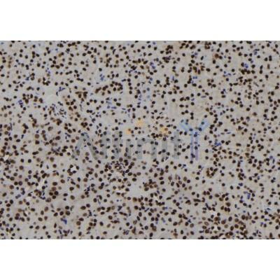 Валидация Affinity DF12279 - 6627